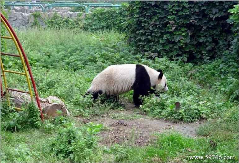 北京動物園